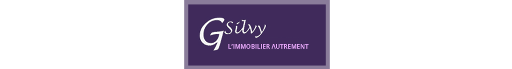 (c) Silvy-immobilier.com